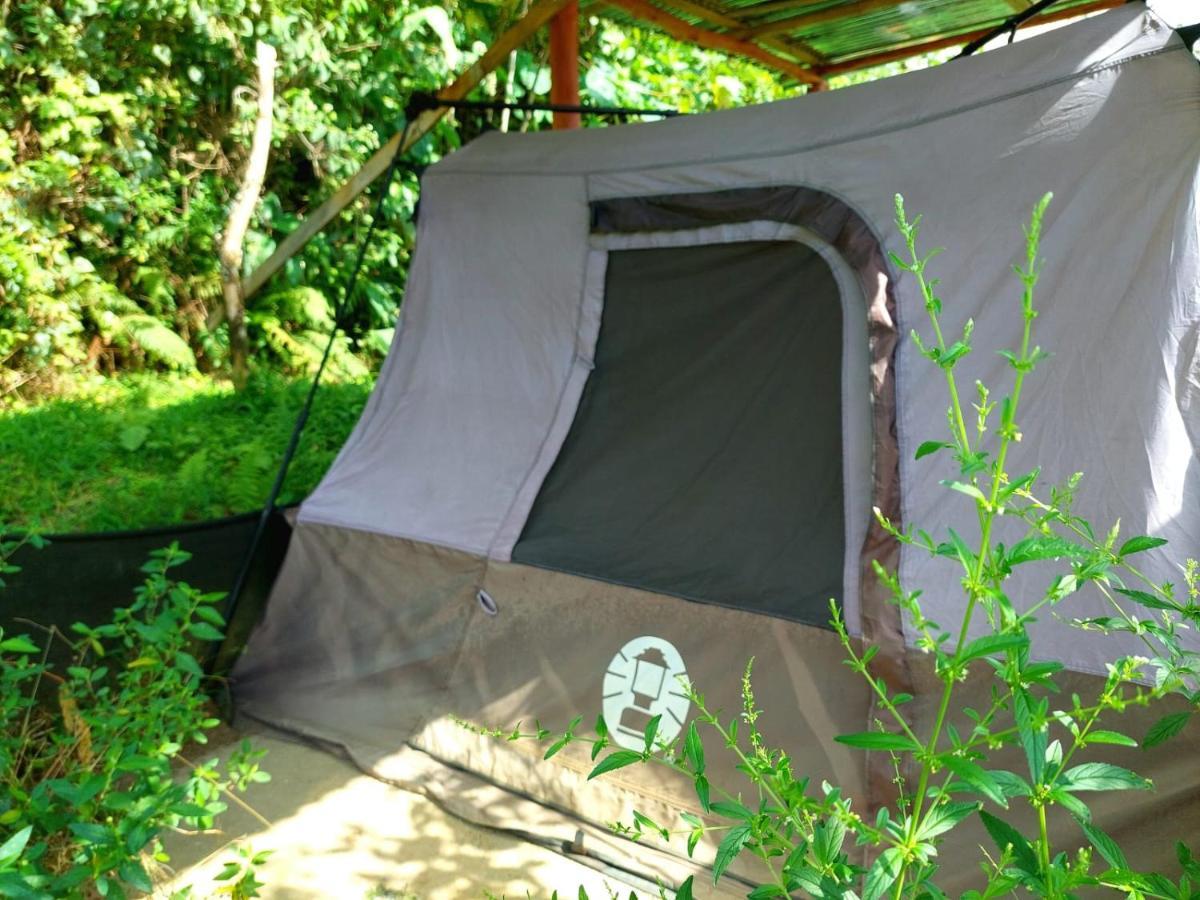 Rustico Arenal B&B La Fortuna Eksteriør billede