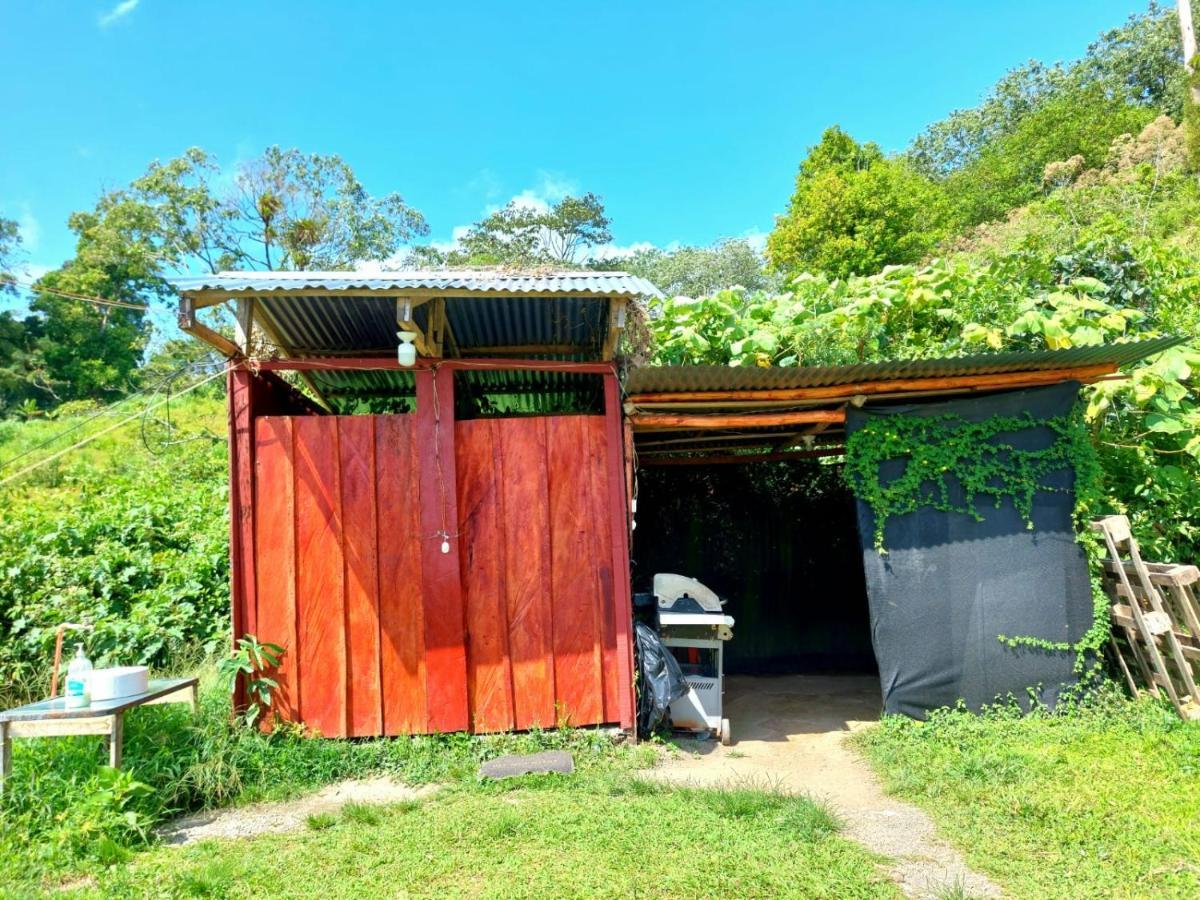 Rustico Arenal B&B La Fortuna Eksteriør billede